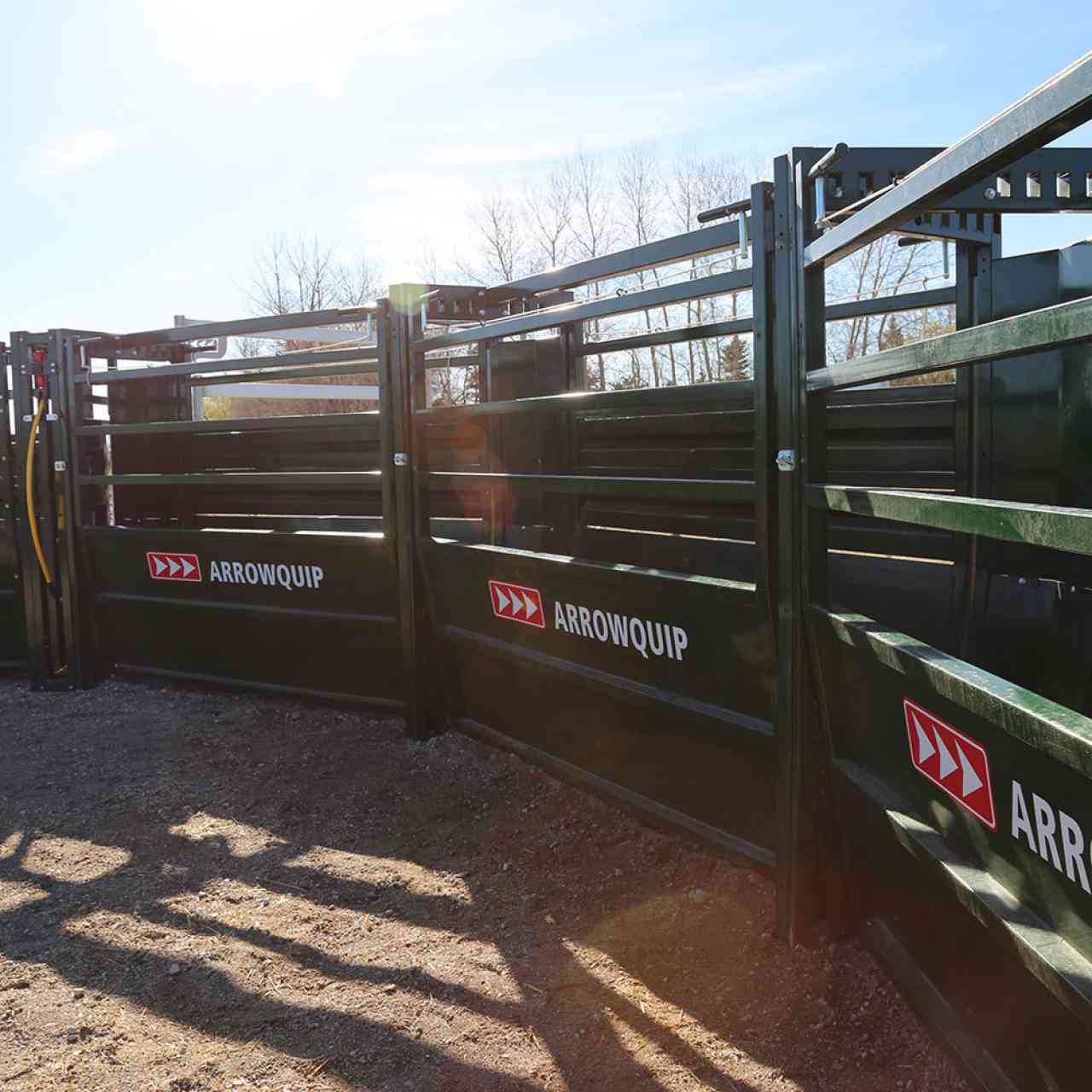 Adjustable panels on Easy Flow Curved Cattle Alley allow handlers to control what cattle see