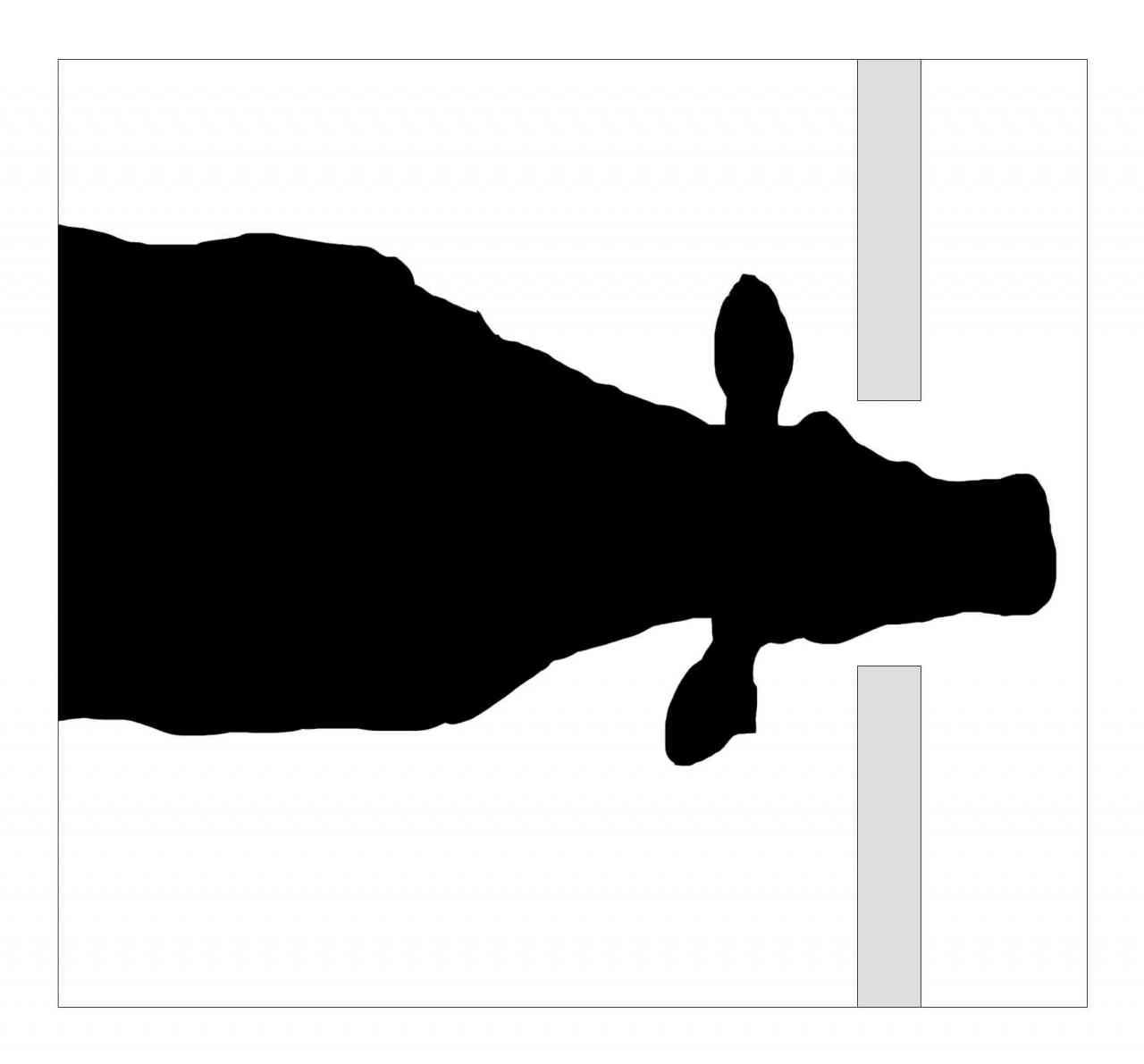 Improper Head Catch Position 4: Face/Nose