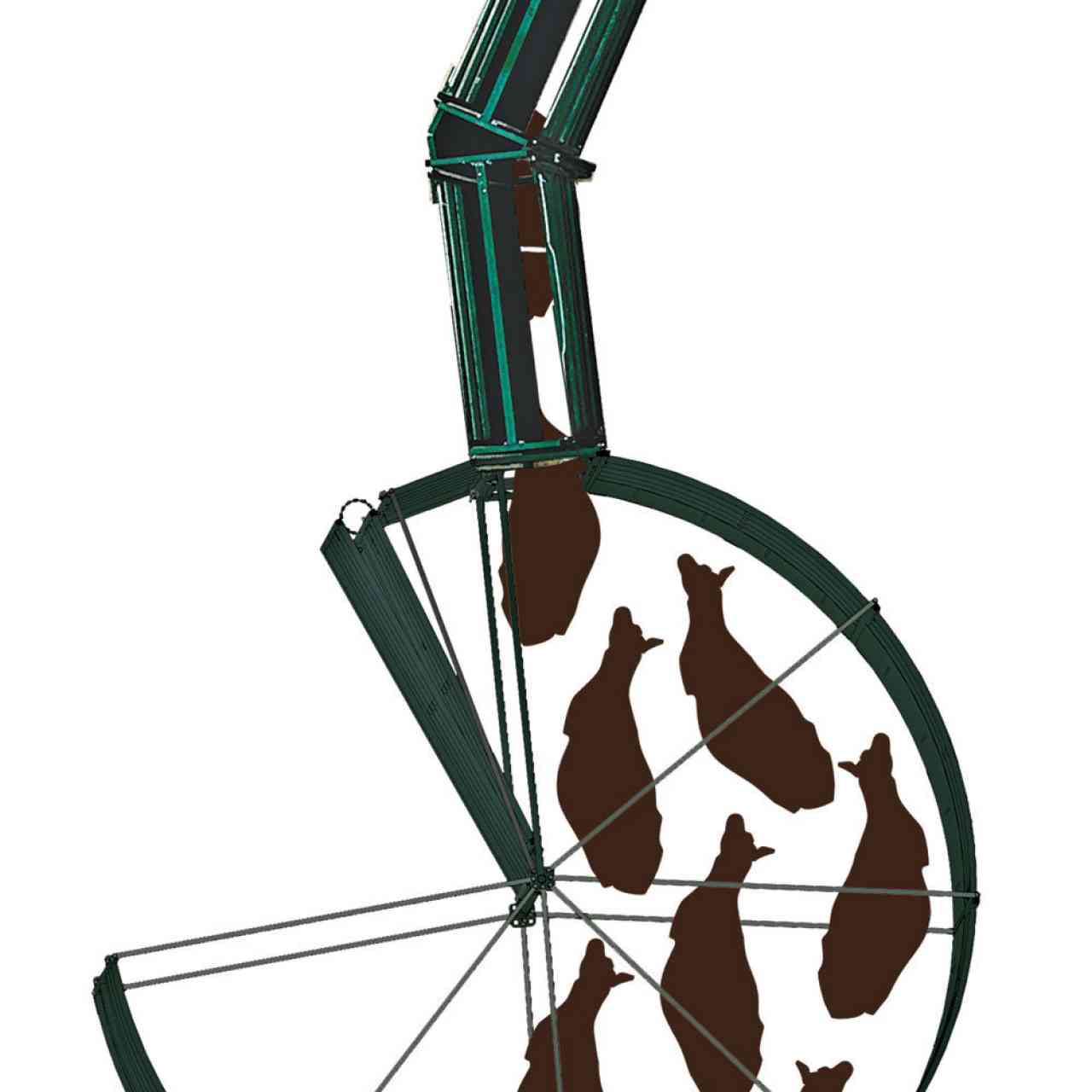 S-Flow Cattle Handling System Concept - Step 4, Cattle Enter the Alley Without Delay