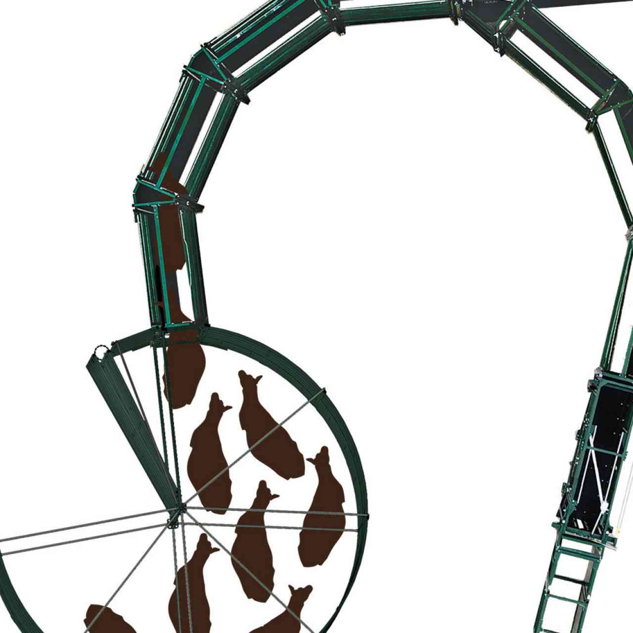 S-Flow Cattle Handling System Concept - Step 5, Cattle Believe they are Turning Back to Where They Entered due to Curves