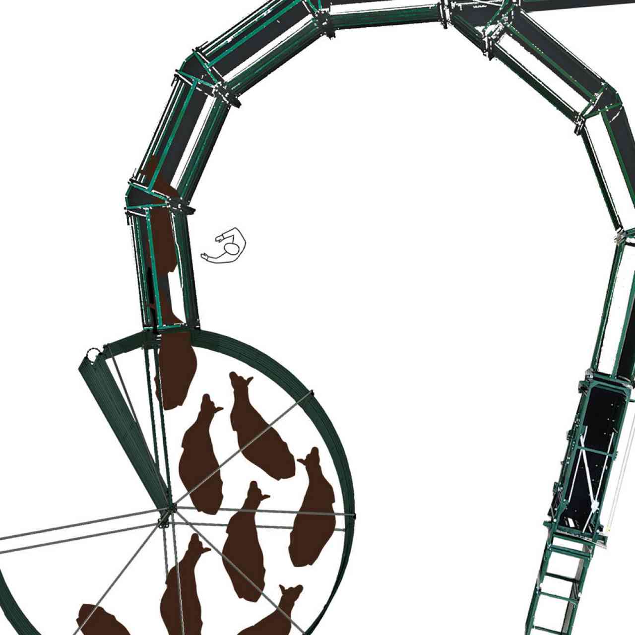 S-Flow Cattle Handling System Concept - Step 6, Handler Uses Point of Balance Techniques to Keep Cattle Moving