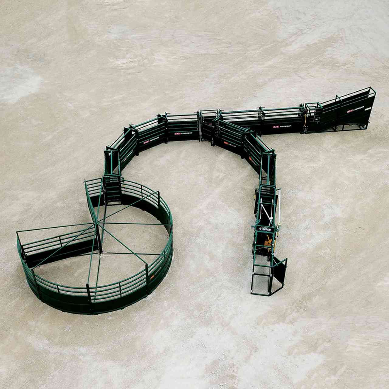 S-Flow Cattle Working System with 180 degree curved alley and load out