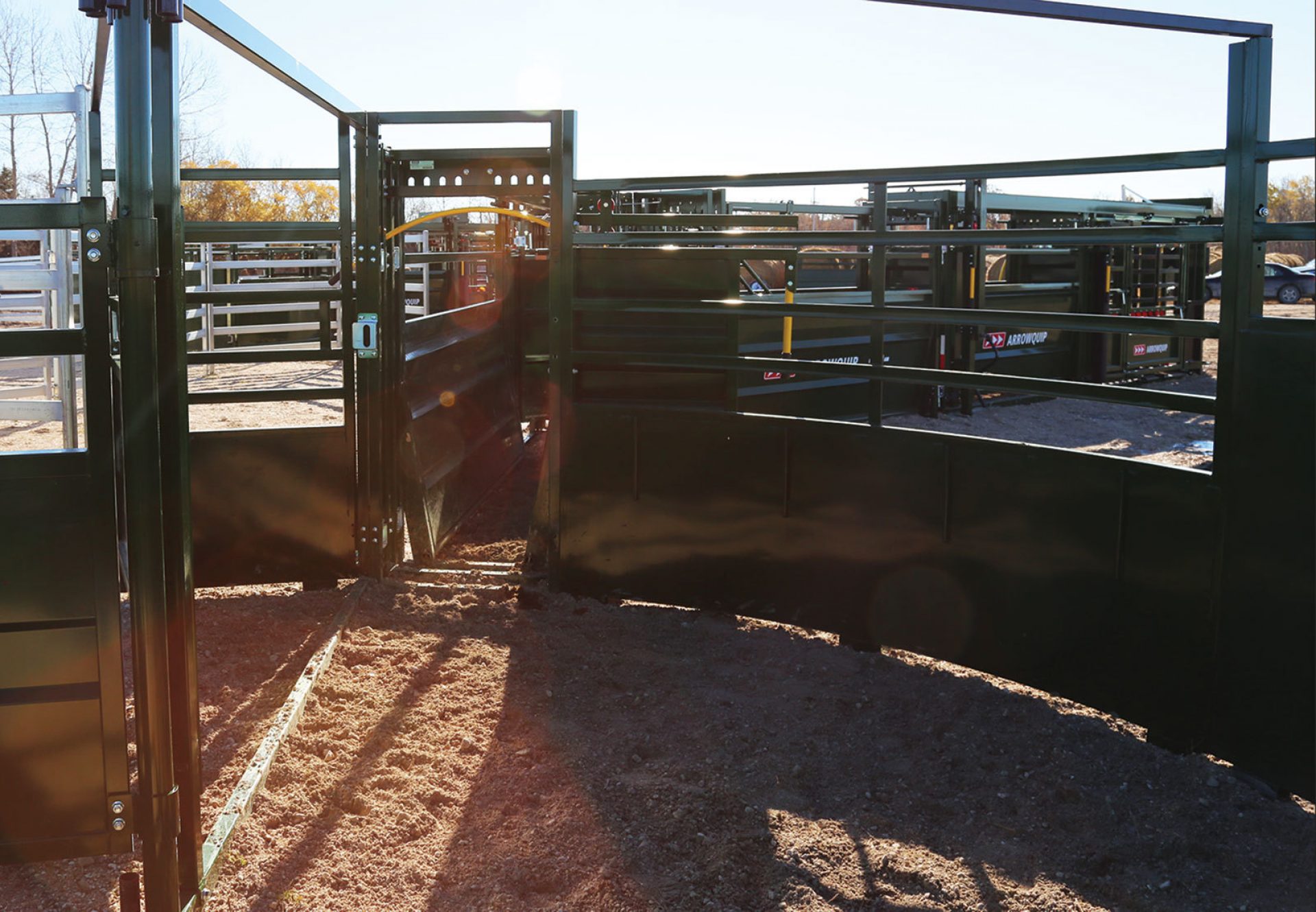 3E System in Cattle Crowding Tub uses light to guide cattle