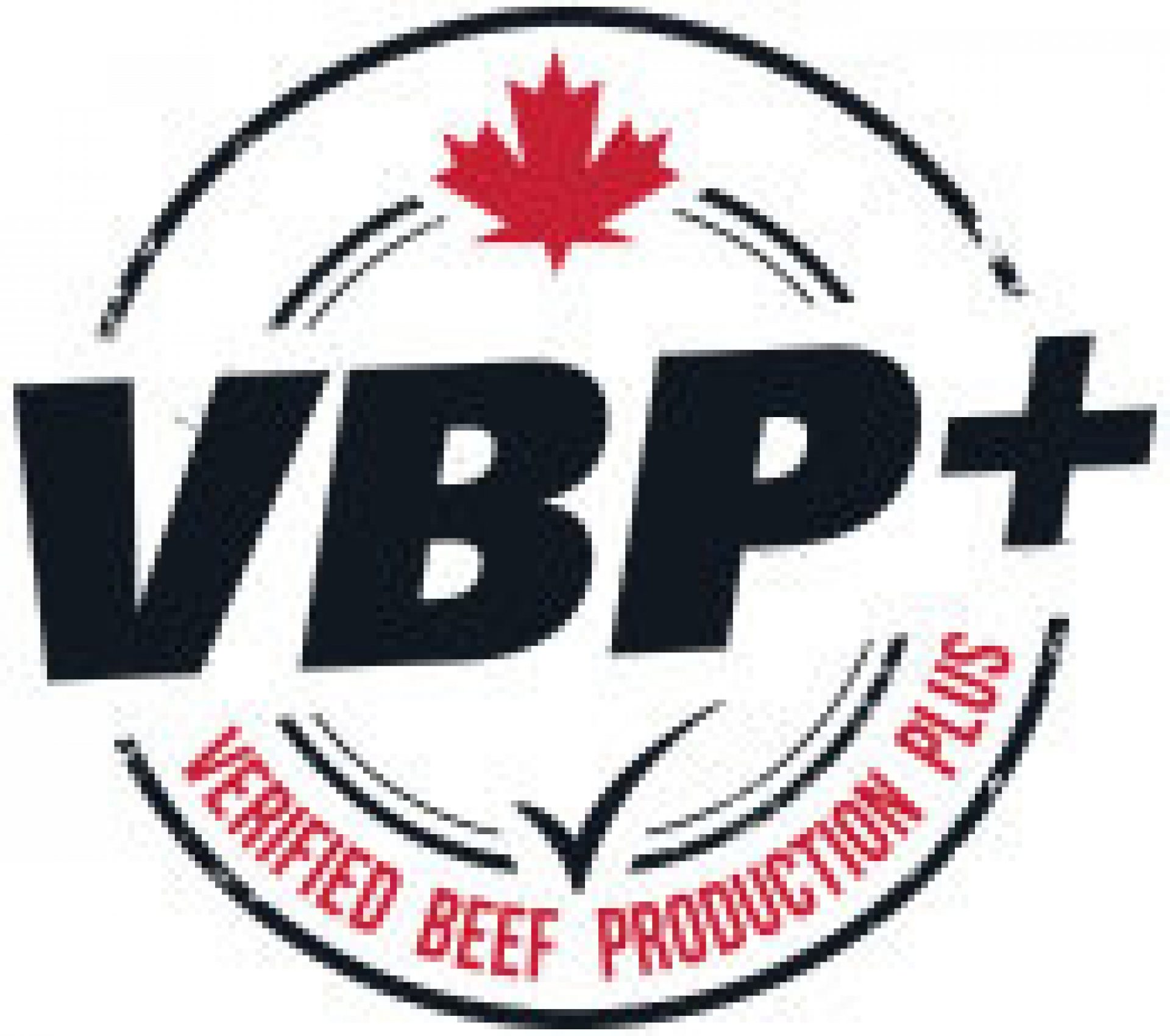 Vbp Logo