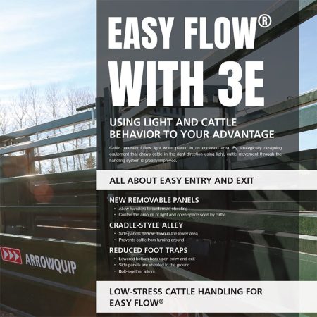 3E easy flow alley handout thumbnail image