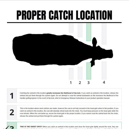 Proper catch location thumbnail image
